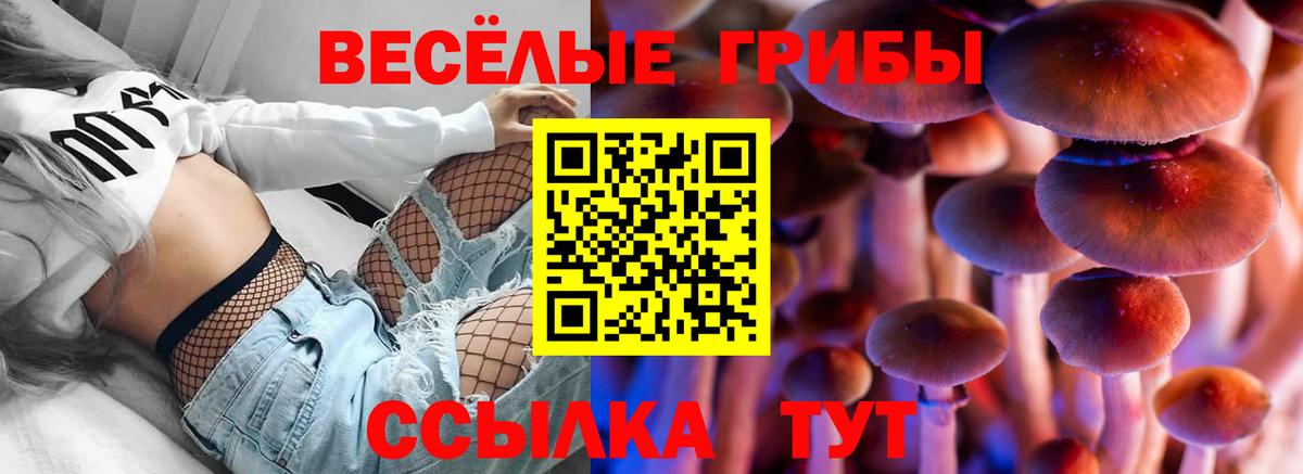 Галлюциногенные грибы GOLDEN TEACHER  Галлюциногенные грибы Magic Shrooms  Вход с VPN  Магнитогорск 